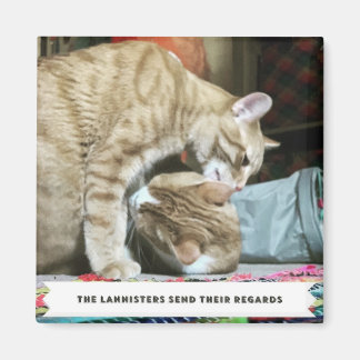 Íman Gatos Laranja
