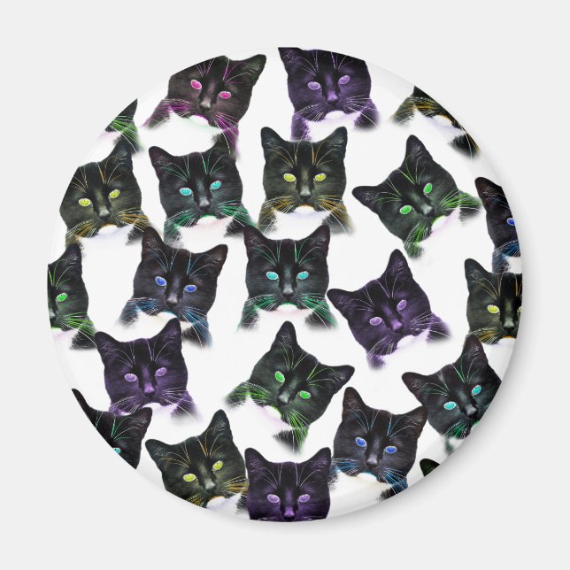 Íman Gatos legal (Frente)