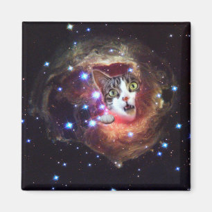 Íman Gatos LOL do espaço da galáxia ímã do quadrado