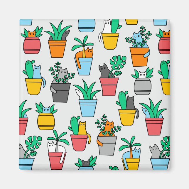 Íman Gatos nos pântanos (Frente)