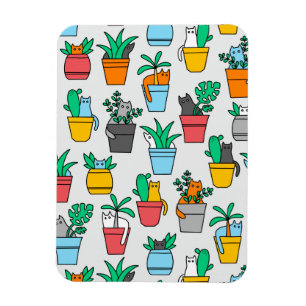 Íman Gatos nos pântanos