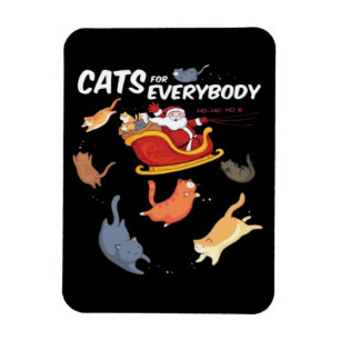 Íman Gatos para todos