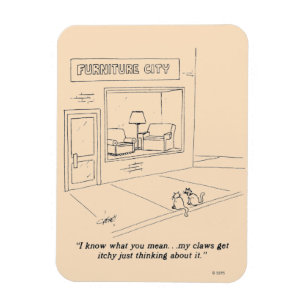 Íman Gatos que agarram a mobília