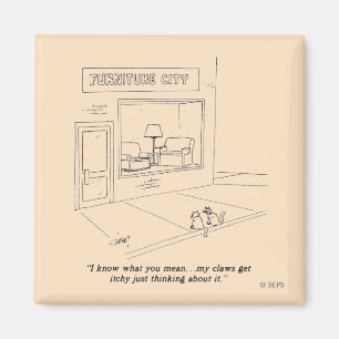 Íman Gatos que agarram a mobília