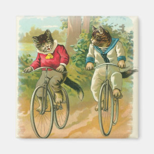 Íman Gatos que montam bicicletas