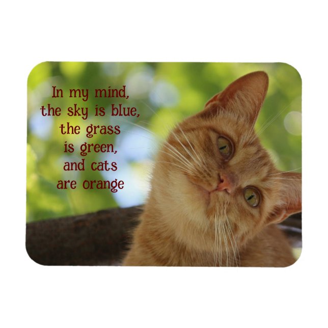 Íman Gatos São Laranja (Horizontal)