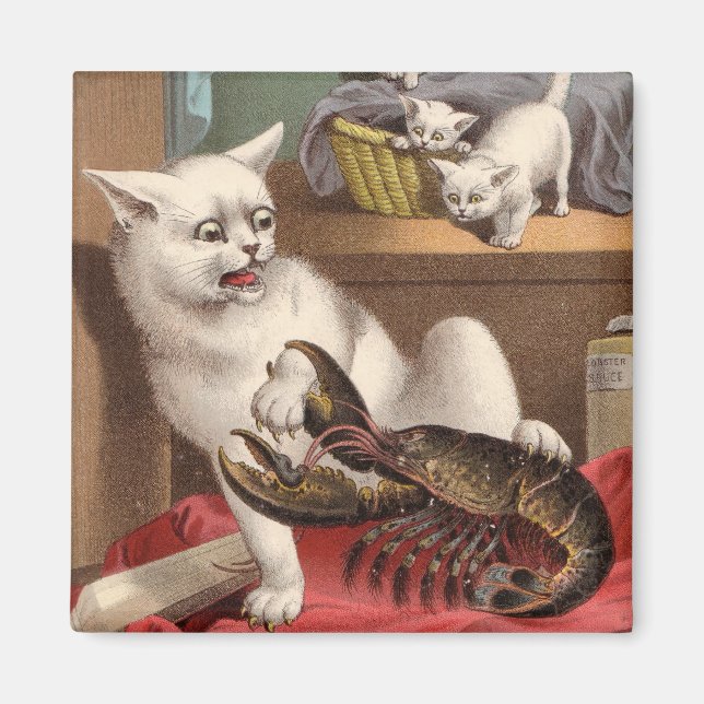 Íman Gatos-travesseiros - Lobster Surprise Magnet (Frente)