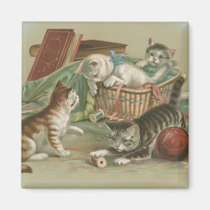 Íman Gatos Vitorianos Antigos Brincando na Cesta de Cos