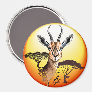 Íman Gazelle African Antelope Wild Animal