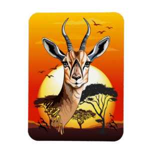 Íman Gazelle African Antelope Wild Animal