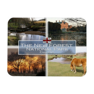 Íman GB Reino Unido - Inglaterra - The New Forest N.P -