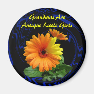 ÍMAN GEBER DAISY - MAGNET