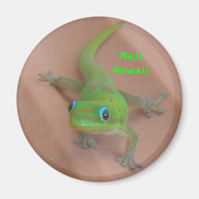 Íman Gecko do Dia da Pó Dourada (Frente)