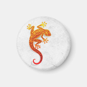 Íman Geco vermelho de escalada em uma parede branca