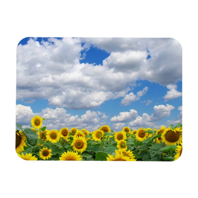 Íman Geladeira de Foto Personalizada (Horizontal)