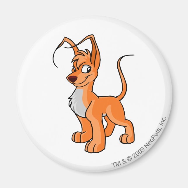Íman Gelert Orange (Frente)