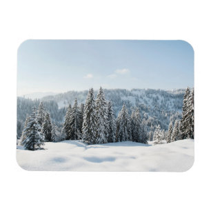 Íman Gelo e neve Allgäu Bavaria Alemanha