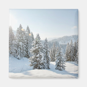 Íman Gelo e neve Allgäu Bavaria Sul da Alemanha