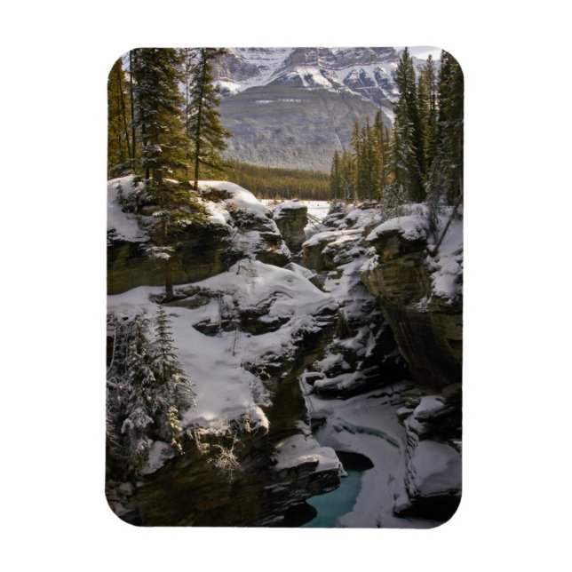 Íman Gelo e neve | Jasper National Park Alberta, Canadá (Vertical)