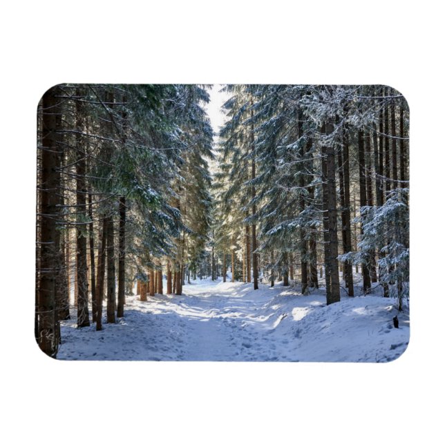 Íman Gelo e neve | Montanhas Tatra, Polônia (Horizontal)