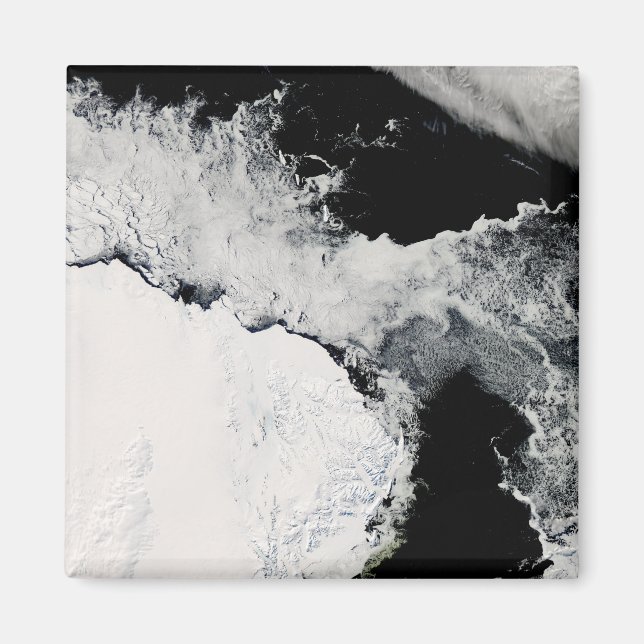 Íman Gelo marinho no oceano Sul (Frente)