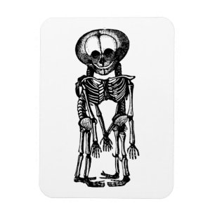 Íman gêmeos siameses esqueletos crianças anatomia arte