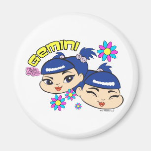 Íman Gemini Magnet