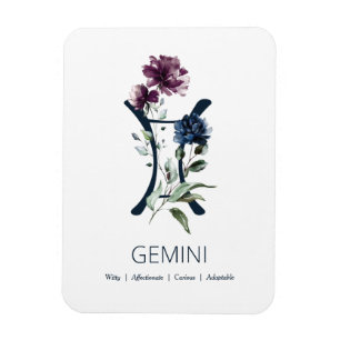 Íman Gemini - Símbolo Zodíaco