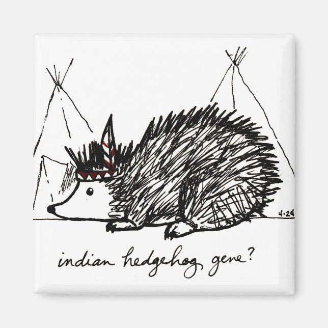 Íman Gene Hedgehog Indiano (Frente)