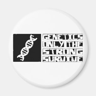 Íman Genética Sobrevive