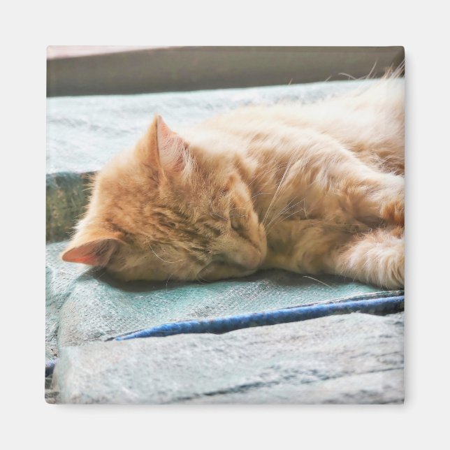 Íman Gengibre de Cabelo Longo (Frente)