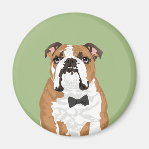 Íman Gentleman English Bulldog Magnet for Dog Lovers