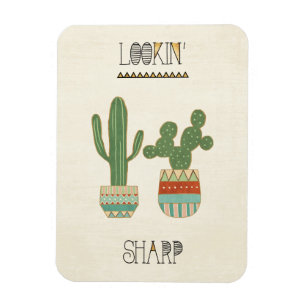 Íman Geo IX Sudoeste Busca de Sharp