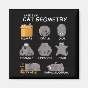 Íman Geometria de Gato Matemática Presentes Divertidos