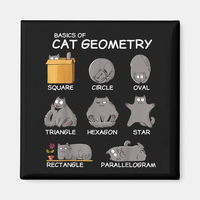 Íman Geometria de Gato Matemática Presentes Divertidos  (Frente)