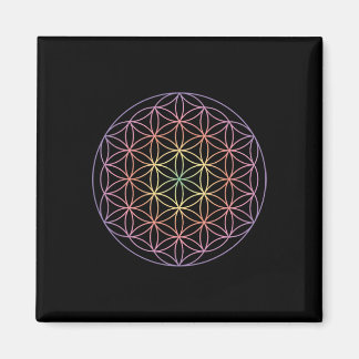 Íman Geometria Sagrada A Flor Da Vida Yoga Yantra Símbo