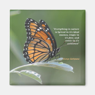 Íman George Santayana Cita Sobre A Natureza