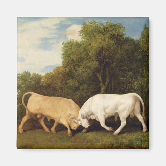 Íman George Stubbs | Combate a touros, 1786 (óleo no pa (Frente)