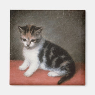 Íman George Stubbs   O Kitten de Ann White, 1790