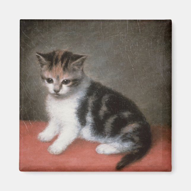 Íman George Stubbs | O Kitten de Ann White, 1790 (Frente)