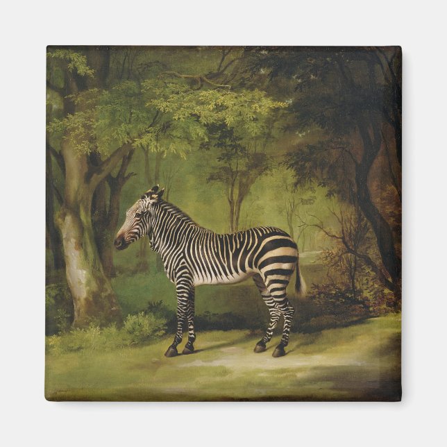Íman George Stubbs | Zebra, 1763 (óleo na canvas) (Frente)