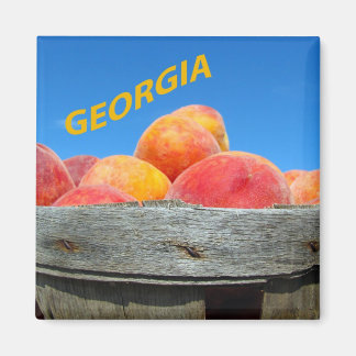 Íman Georgia Peaches Magnet