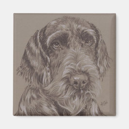 Íman Ger. Ponteiro De Cabelo