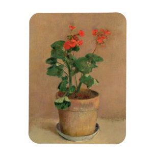 Íman Geraniums in a Pote, c.1905 (oil on canvas)