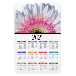 Íman Gerbera Daisy, rosa e branco | Calendário 2021