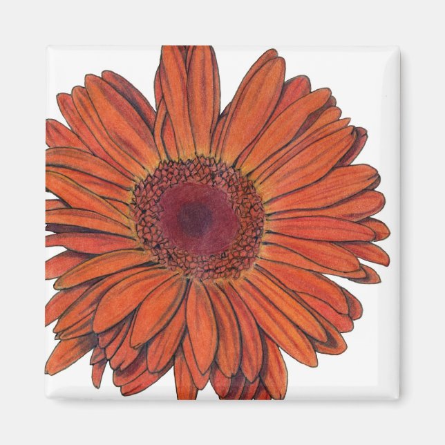 Íman Gerbera Magnet (Frente)
