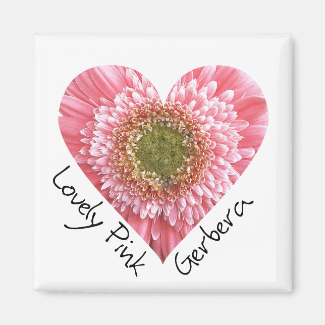 Íman Gérbera rosa adorável - Forma cardíaca (Frente)