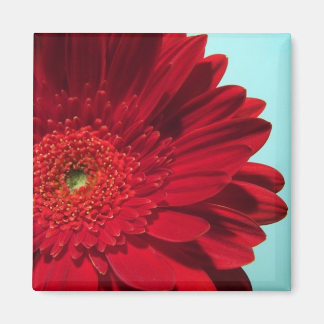 Íman gergeladeira (Frente)