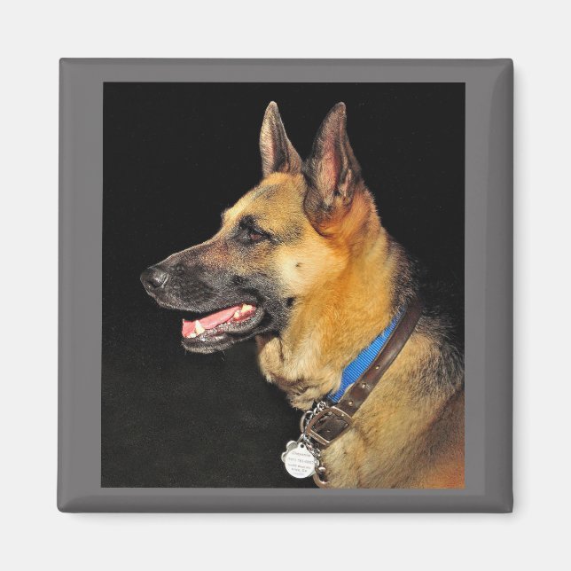 Íman German shepherd (Frente)
