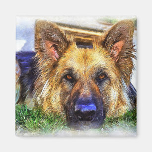 Íman German shepherd